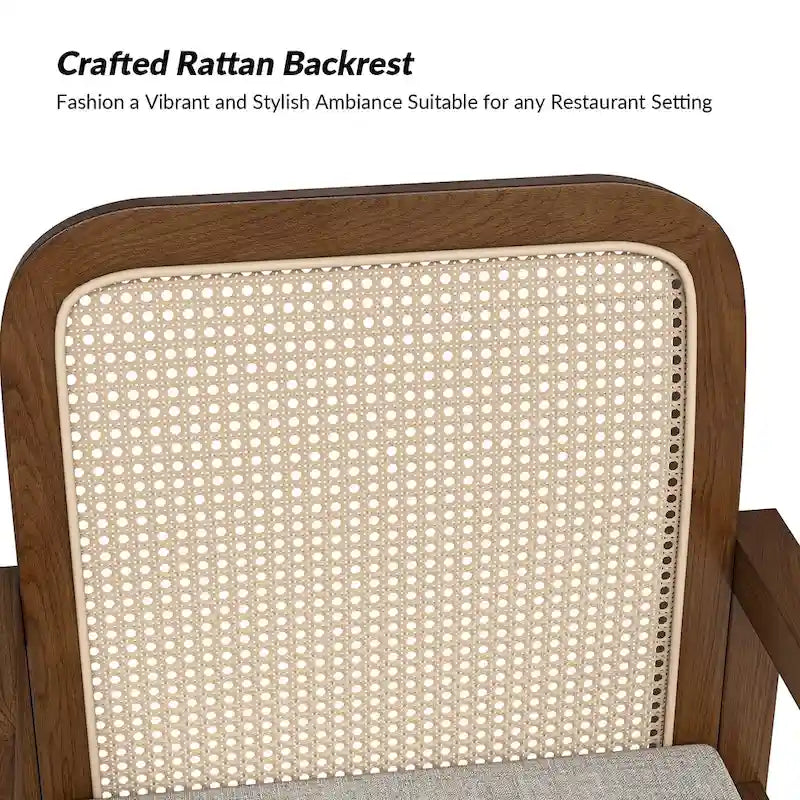 Antoine Modern Ratten Back Dining Chair with Removable Cushion Set of 2 by HULALA HOME