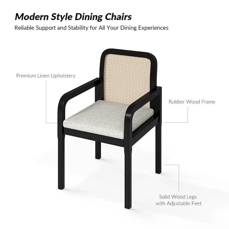 Antoine Modern Ratten Back Dining Chair with Removable Cushion Set of 2 by HULALA HOME