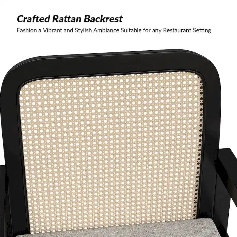 Antoine Modern Ratten Back Dining Chair with Removable Cushion Set of 2 by HULALA HOME